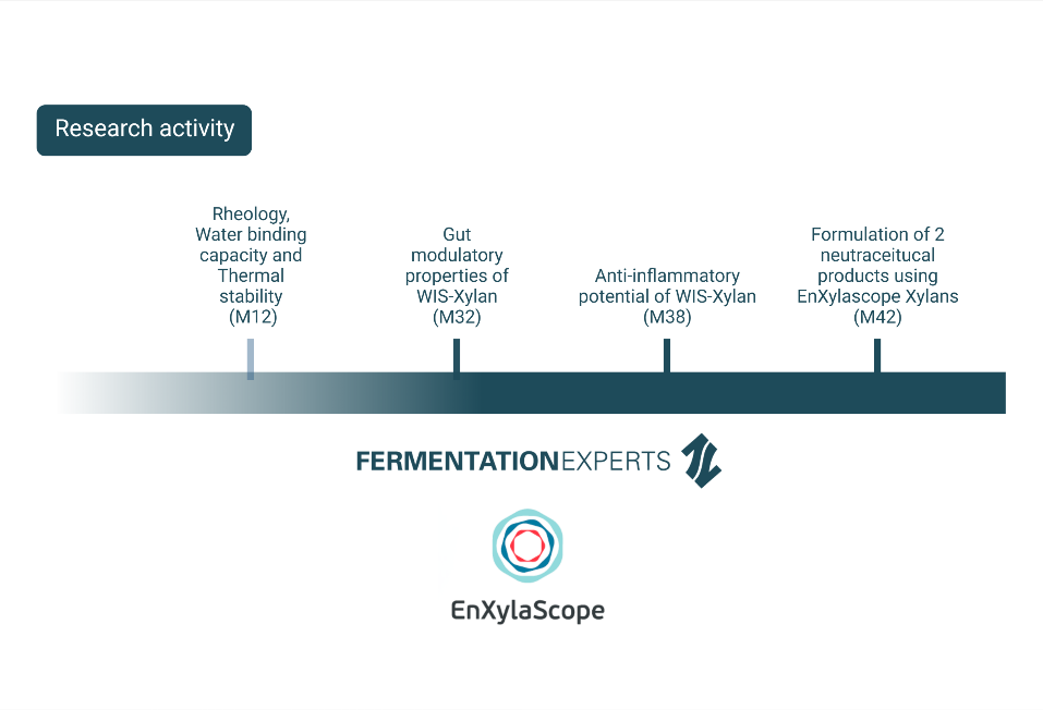 The path towards application testing on EnXylaScope’s nutraceuticals